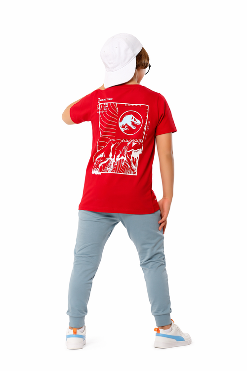 Dino Cotton Set